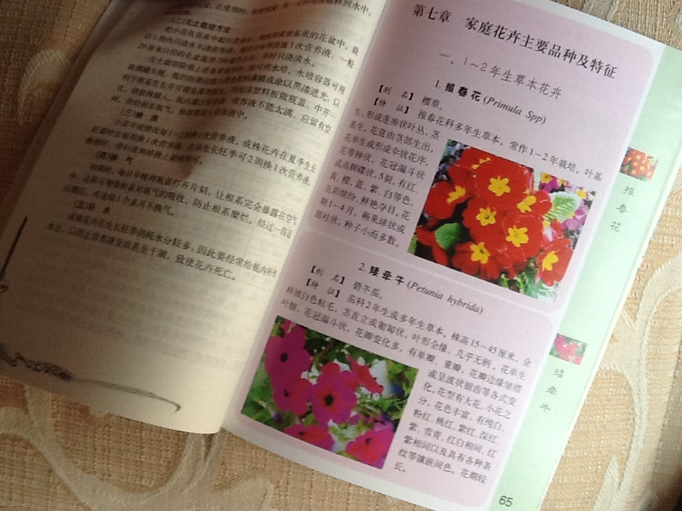 家庭養(yǎng)花指導(dǎo)（修訂版） 曬單實(shí)拍圖