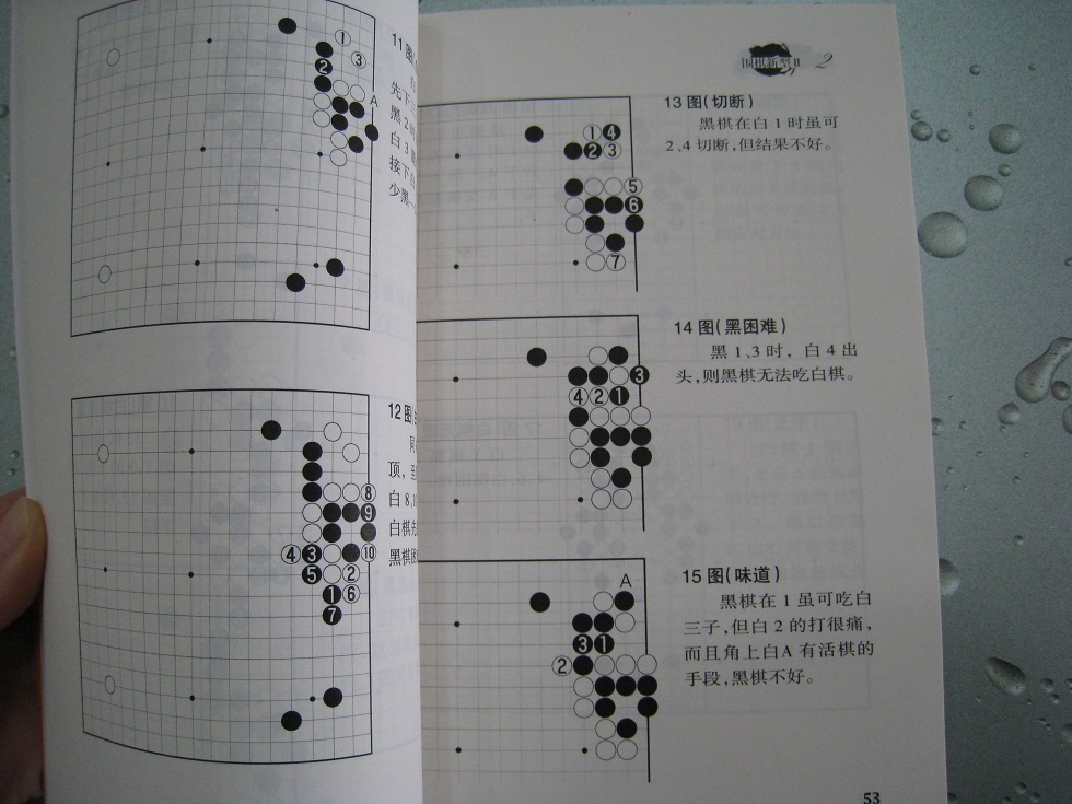 圍棋新型2：21世紀新定式和布局 曬單實(shí)拍圖