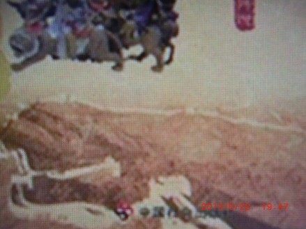 中華民間經(jīng)典故事會（植物傳說）：八仙造米 曬單實(shí)拍圖