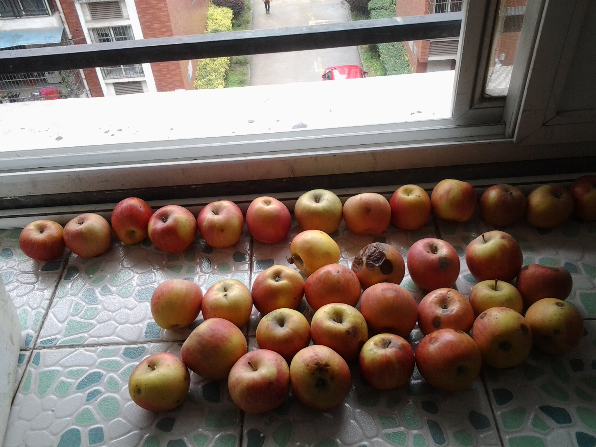 親近母語(yǔ)：日有所誦（小學(xué)五年級）（第三版） 曬單實(shí)拍圖