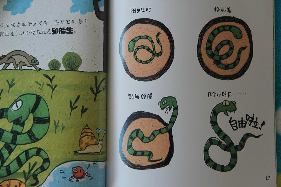 趣讀科學(xué)繪本1（套裝共6冊） 曬單實(shí)拍圖