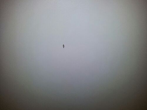 夜雨（NightRain）2026新款媽媽鞋子單鞋軟底防滑中年真皮春秋平底老人鞋中老年女鞋 黑色3771女單鞋 37 (235mm) 軟底防滑 曬單實(shí)拍圖