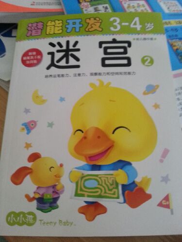 小小孩潛能開(kāi)發(fā)叢書(shū)：迷宮2（3-4歲）（幼兒園中班） 曬單實(shí)拍圖