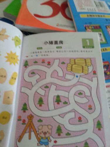 小小孩潛能開(kāi)發(fā)叢書(shū)：迷宮2（3-4歲）（幼兒園中班） 曬單實(shí)拍圖
