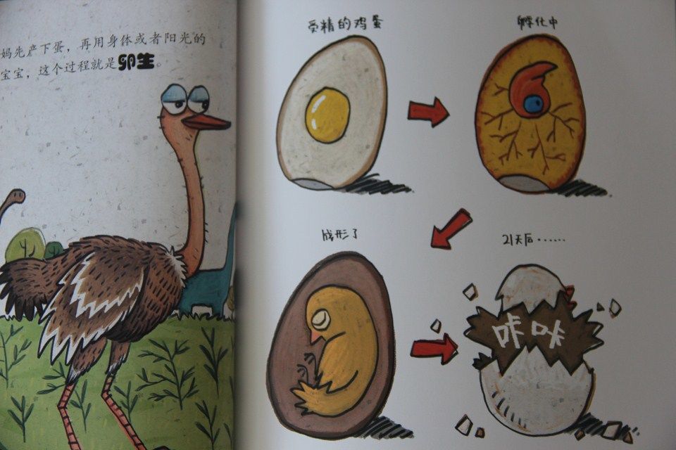 趣讀科學(xué)繪本1（套裝共6冊） 曬單實(shí)拍圖