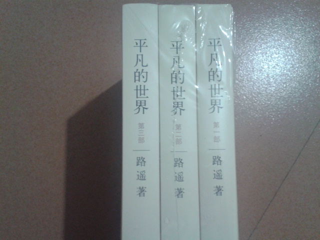 2013年注冊(cè)稅務(wù)師考試應(yīng)試指導(dǎo)及全真模擬測(cè)試·輕松過關(guān)1：稅務(wù)代理實(shí)務(wù) 曬單實(shí)拍圖