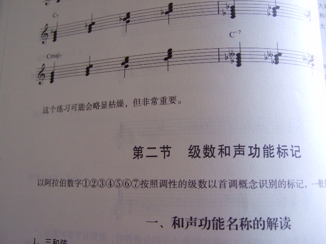 流行鋼琴即興伴奏基礎教程 曬單實(shí)拍圖