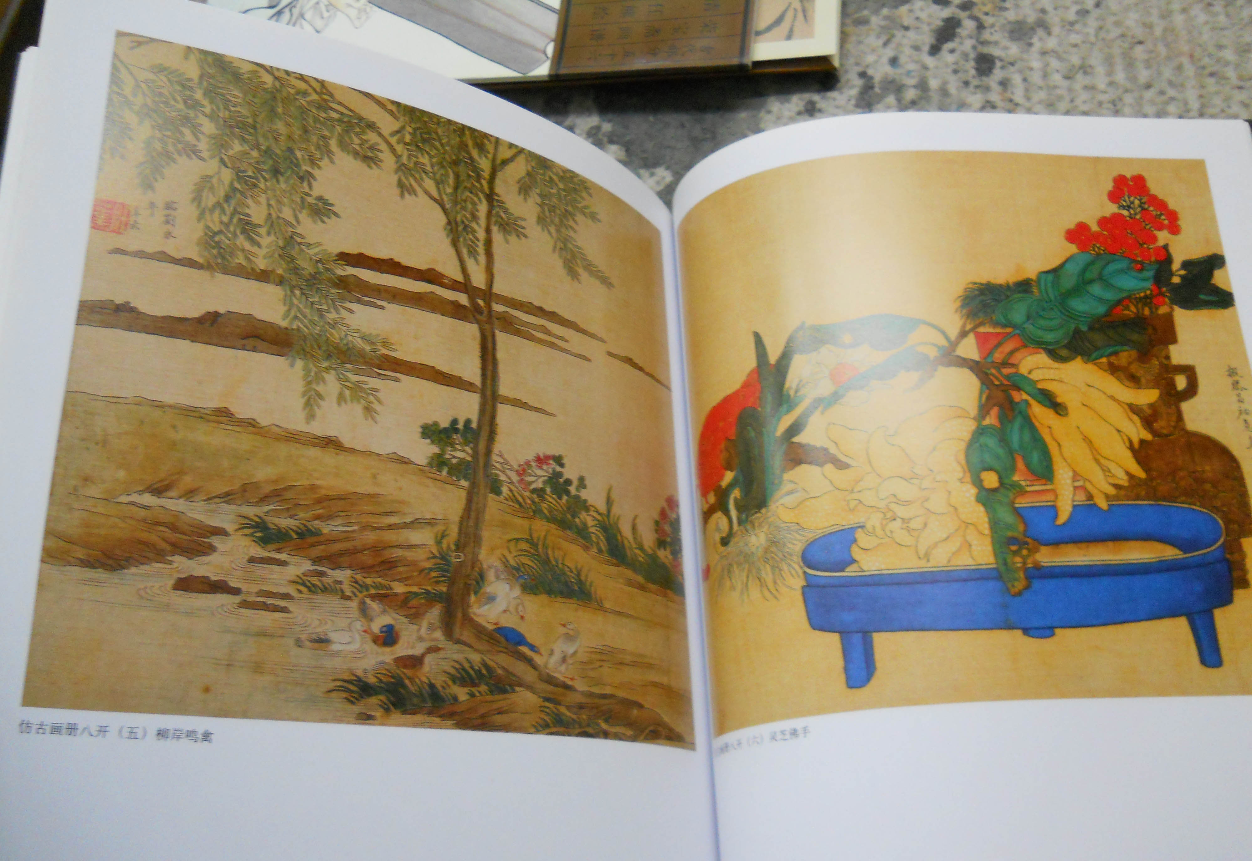 中國古代繪畫(huà)精品集：華喦花鳥(niǎo)草蟲(chóng)冊頁(yè) 曬單實(shí)拍圖