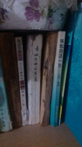 國際貿(mào)易基礎(chǔ)知識（第3版） 曬單實拍圖