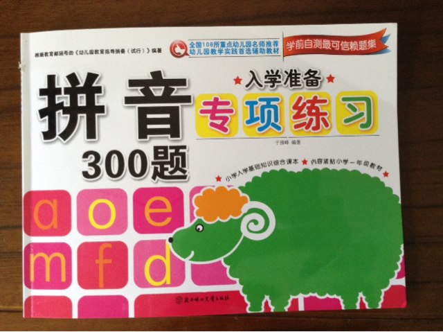 入學(xué)準備專(zhuān)項練習：拼音300題 曬單實(shí)拍圖