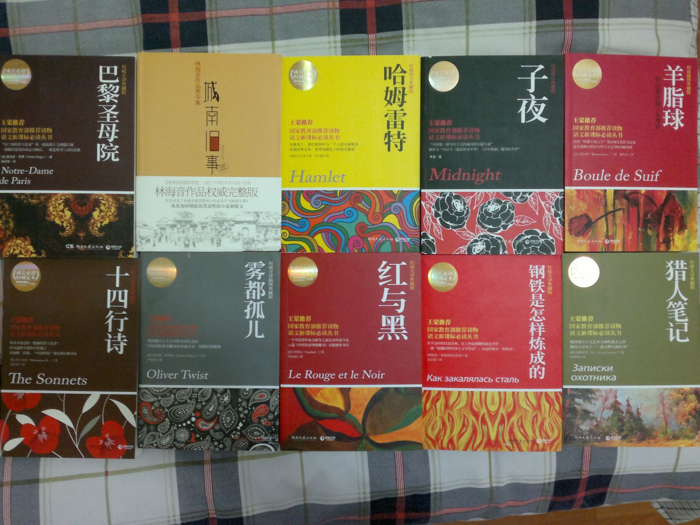 權威典藏名著(zhù)（鋼鐵是怎么煉成的、巴黎圣母院、哈姆雷特等）（套裝共10冊） 曬單實(shí)拍圖