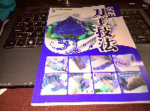 實(shí)用刀工技法 曬單實(shí)拍圖