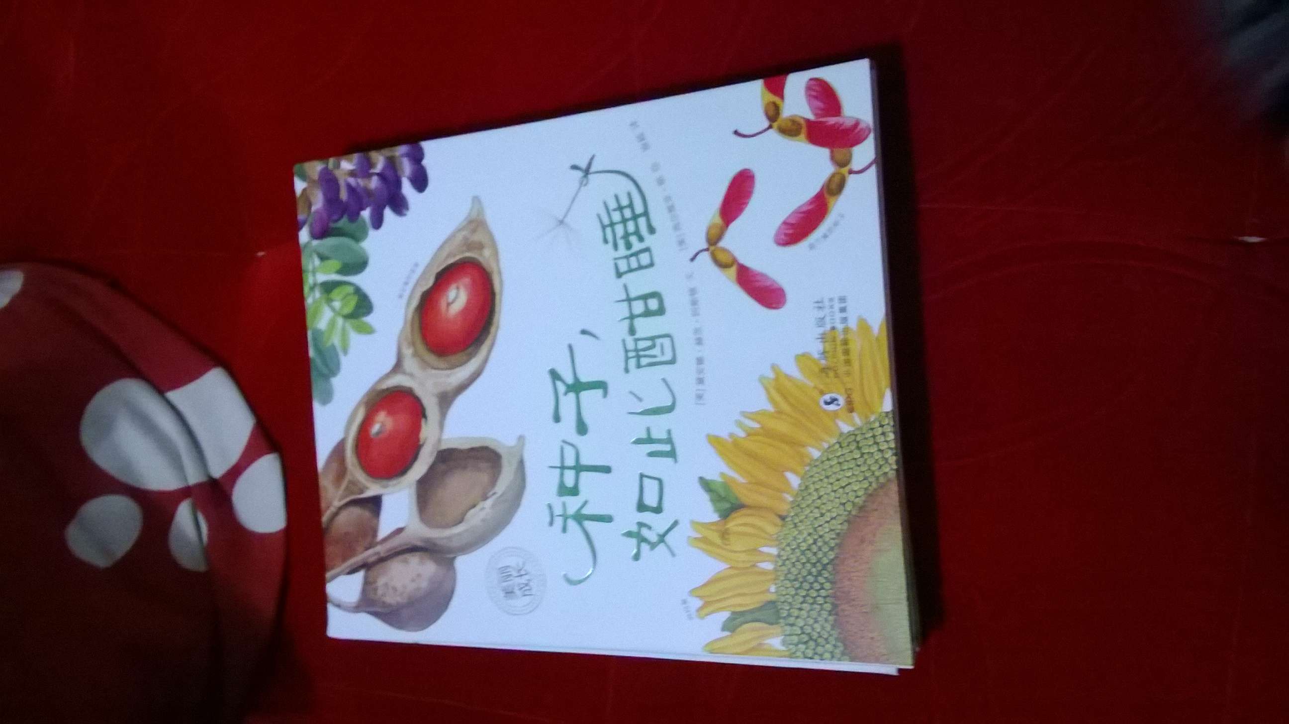 “美麗成長(cháng)”生命科普繪本系列：種子，如此酣睡 曬單實(shí)拍圖