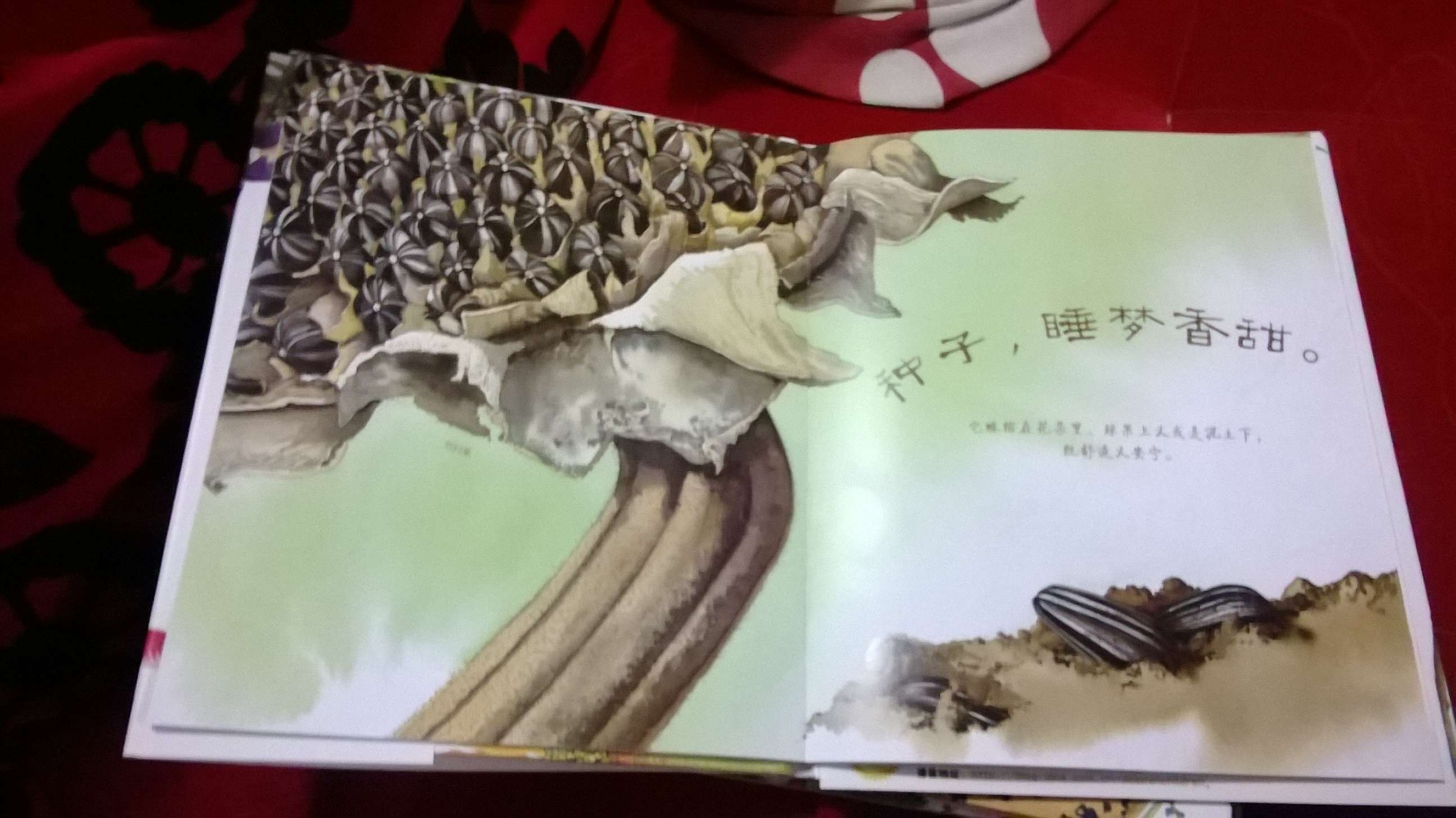 “美麗成長(cháng)”生命科普繪本系列：種子，如此酣睡 曬單實(shí)拍圖
