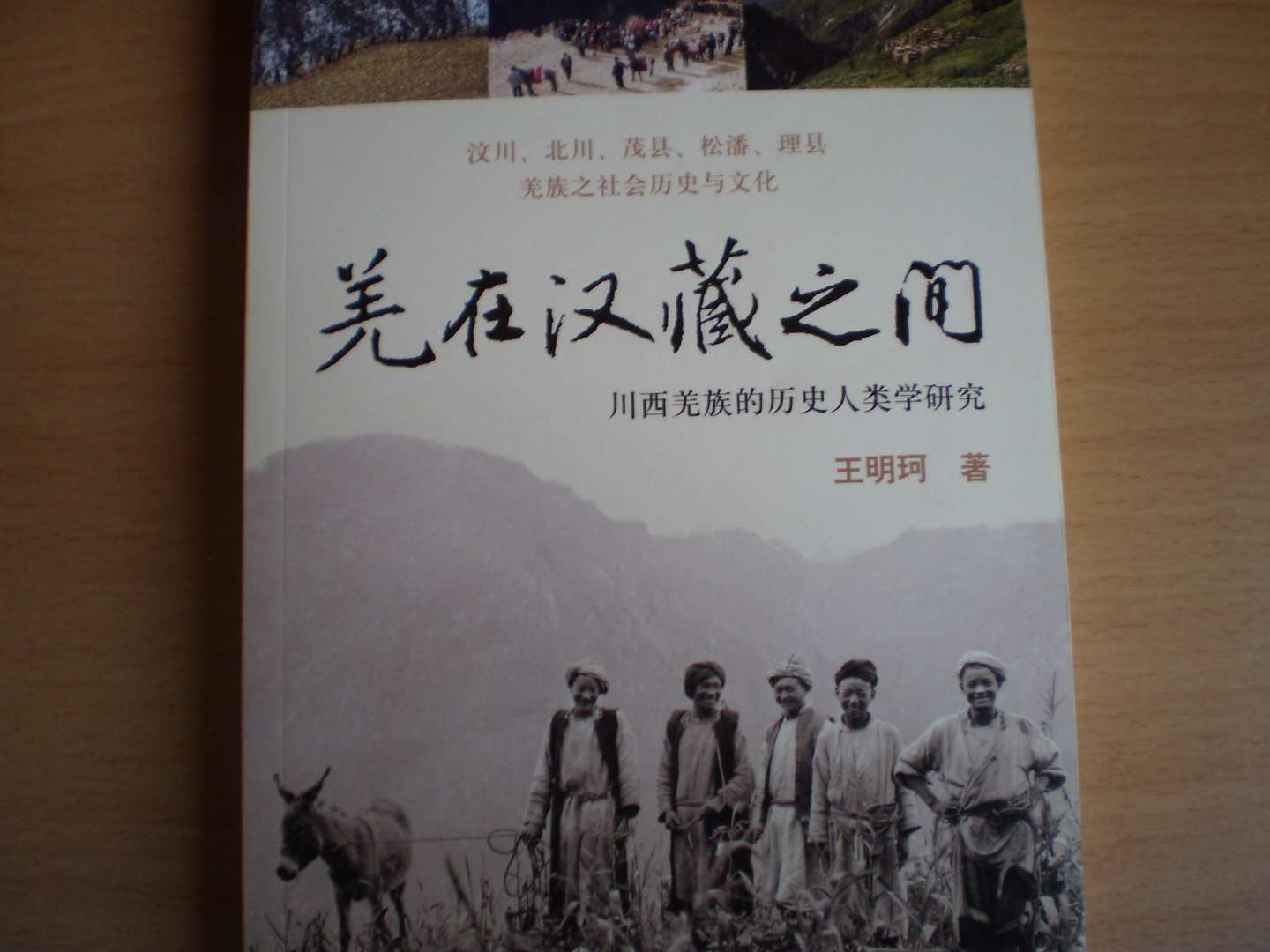 羌在漢藏之間：川西羌族的歷史人類學(xué)研究 曬單實拍圖