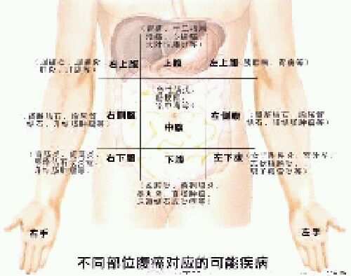 賽爾號雷伊傳說(shuō)6：神獸阿克西亞 曬單實(shí)拍圖