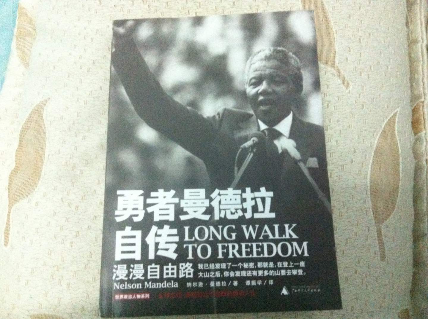 勇者曼德拉自傳：漫漫自由路 曬單實(shí)拍圖