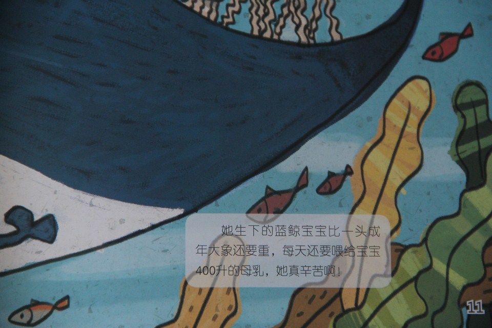 趣讀科學(xué)繪本1（套裝共6冊） 曬單實(shí)拍圖