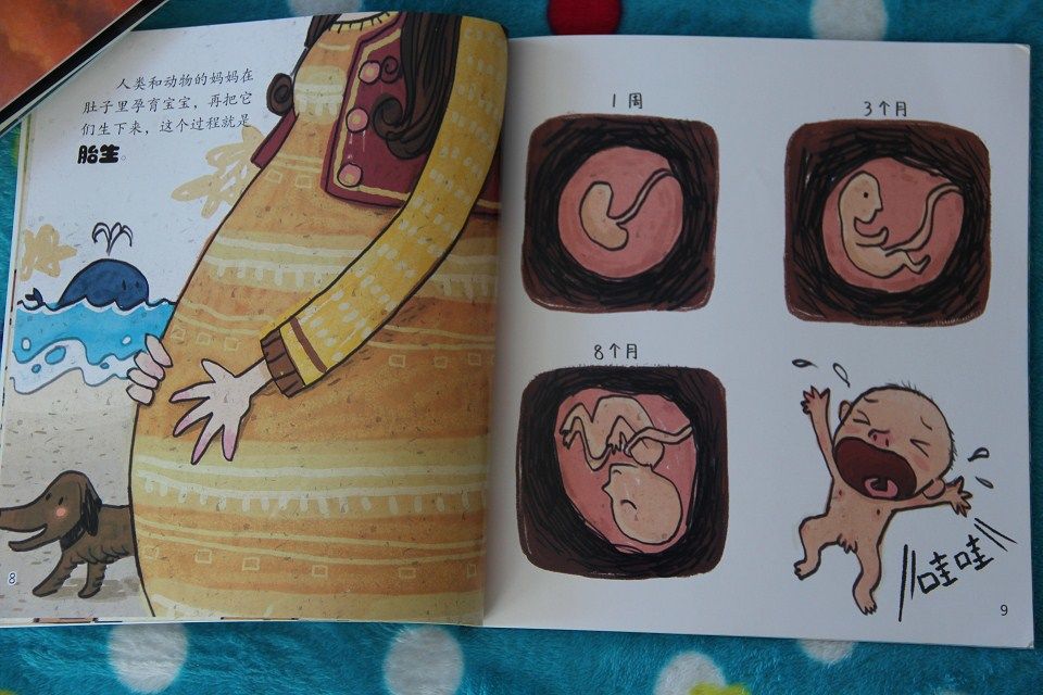 趣讀科學(xué)繪本1（套裝共6冊） 曬單實(shí)拍圖