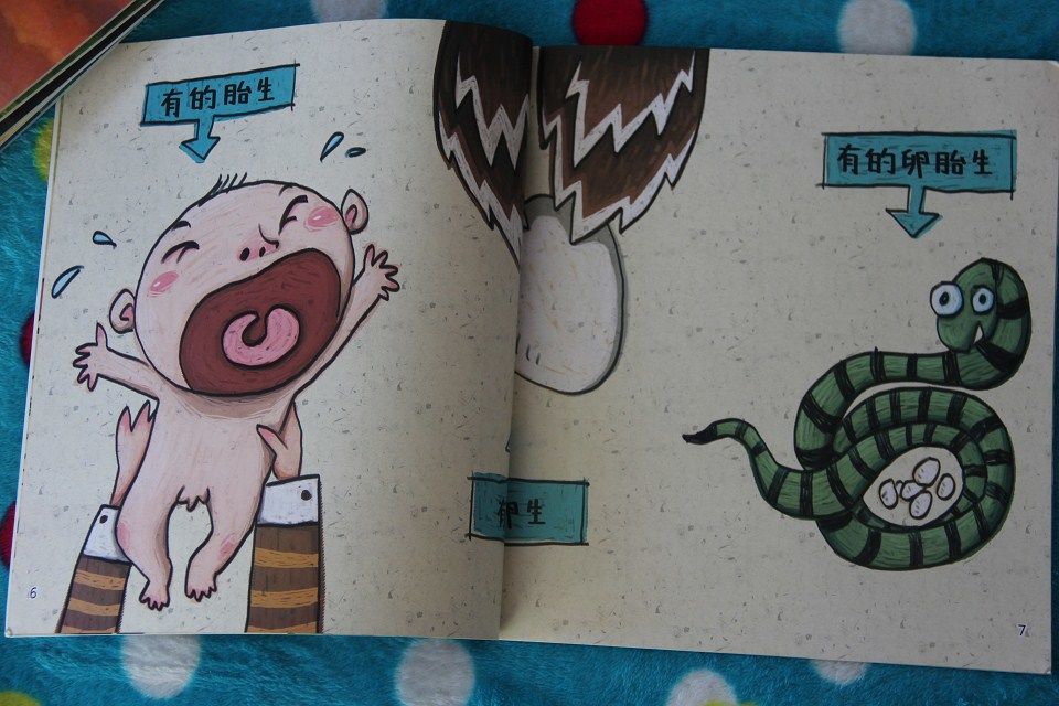 趣讀科學(xué)繪本1（套裝共6冊） 曬單實(shí)拍圖