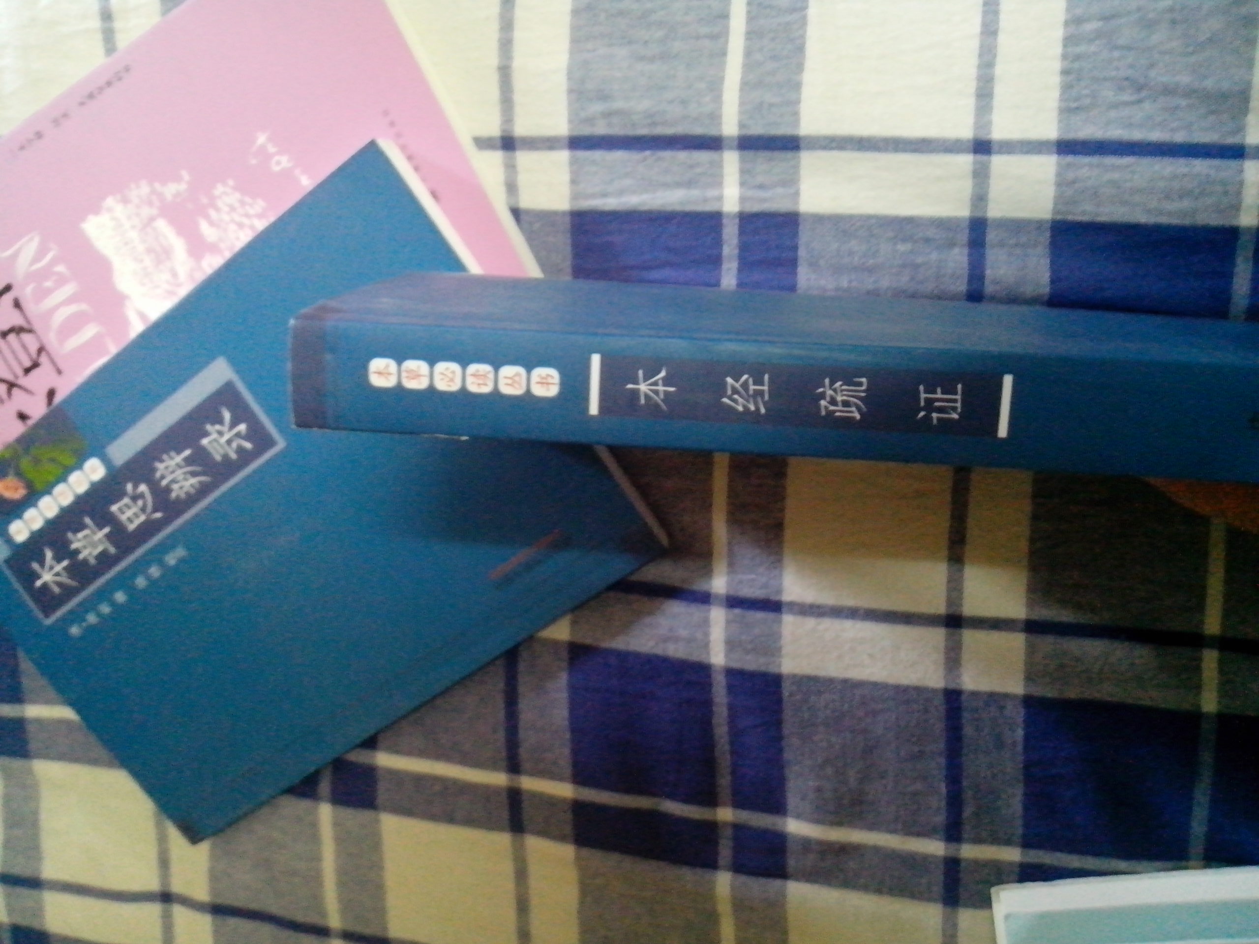 本草必讀叢書(shū)：本經(jīng)疏證 曬單實(shí)拍圖