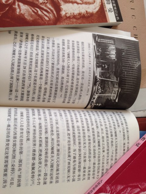 羅沃爾特音樂(lè )家傳記叢書(shū)：普契尼 曬單實(shí)拍圖