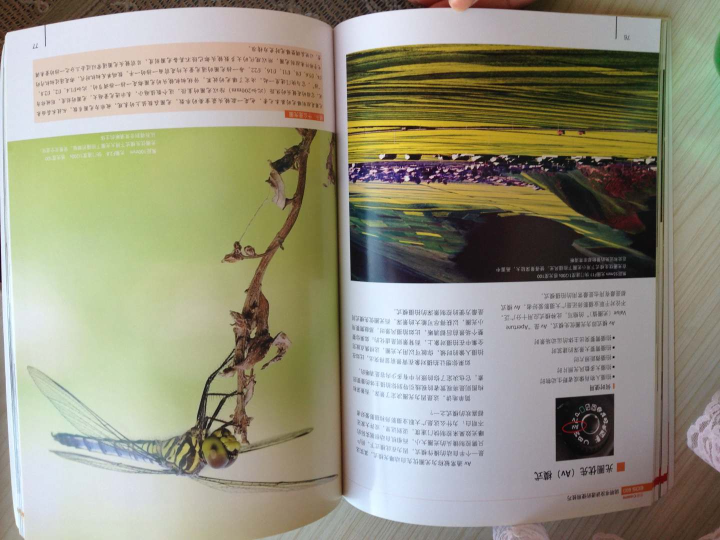 佳能Canon EOS 60D說(shuō)明書(shū)沒(méi)講透的使用技巧 曬單實(shí)拍圖