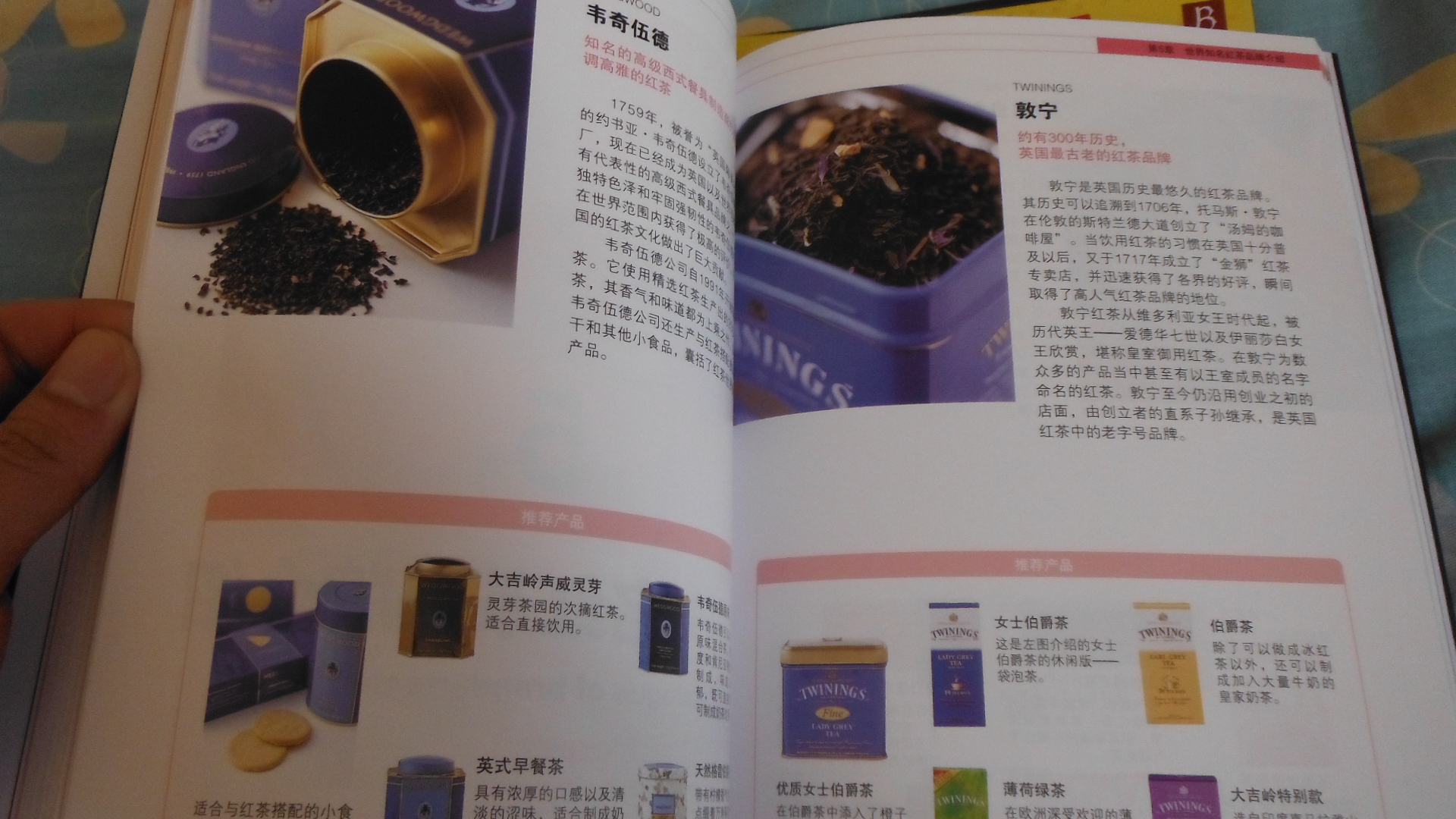 紅茶品鑒大全 曬單實拍圖