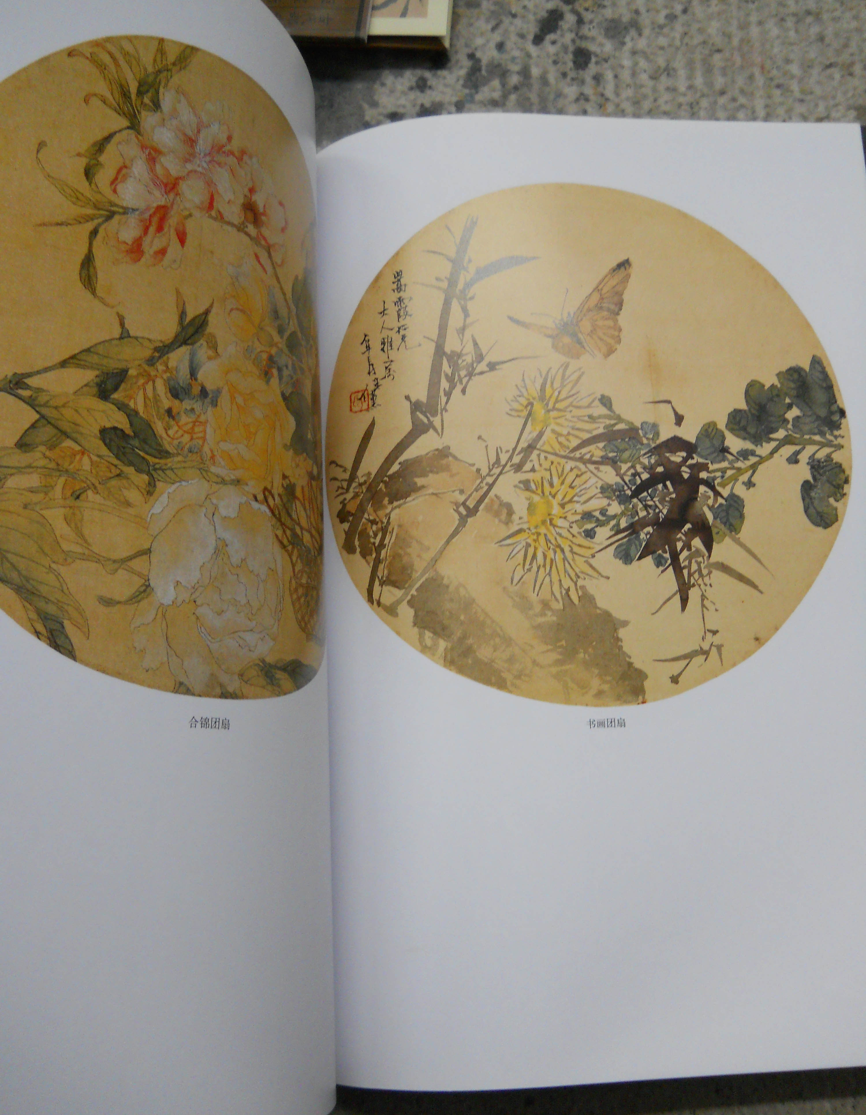 中國古代繪畫(huà)精品集：華喦花鳥(niǎo)草蟲(chóng)冊頁(yè) 曬單實(shí)拍圖