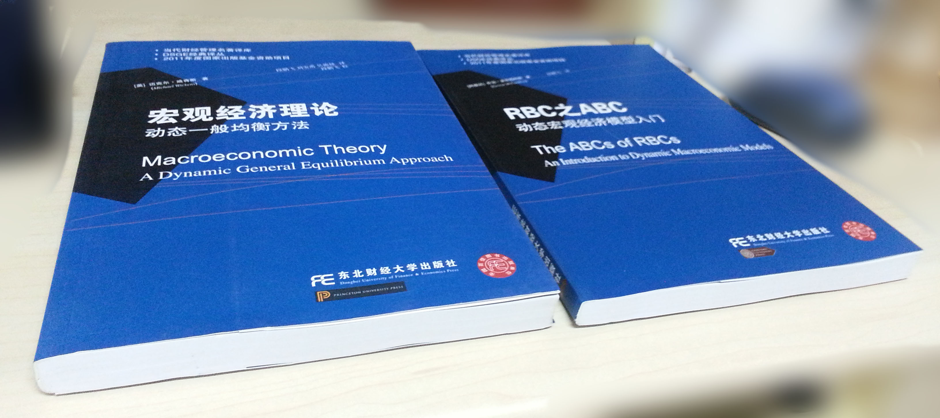 宏觀(guān)經(jīng)濟理論：動(dòng)態(tài)一般均衡方法 曬單實(shí)拍圖