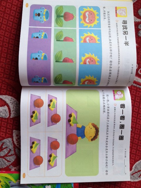 少兒全腦智力開(kāi)發(fā)：右腦訓練營(yíng)（彩圖版） 曬單實(shí)拍圖