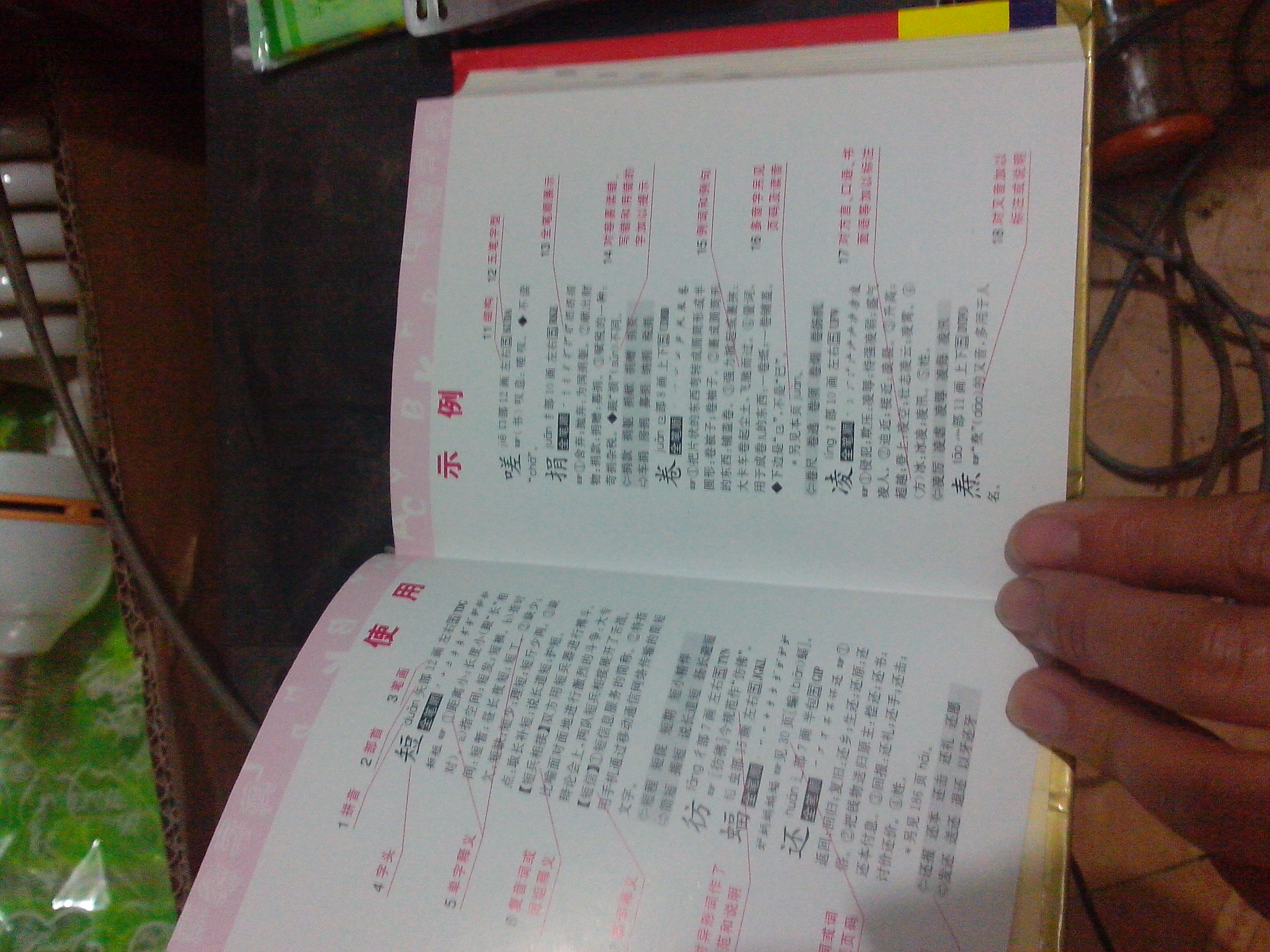 學(xué)生實(shí)用新編字典（全筆順展示多音字索引） 曬單實(shí)拍圖