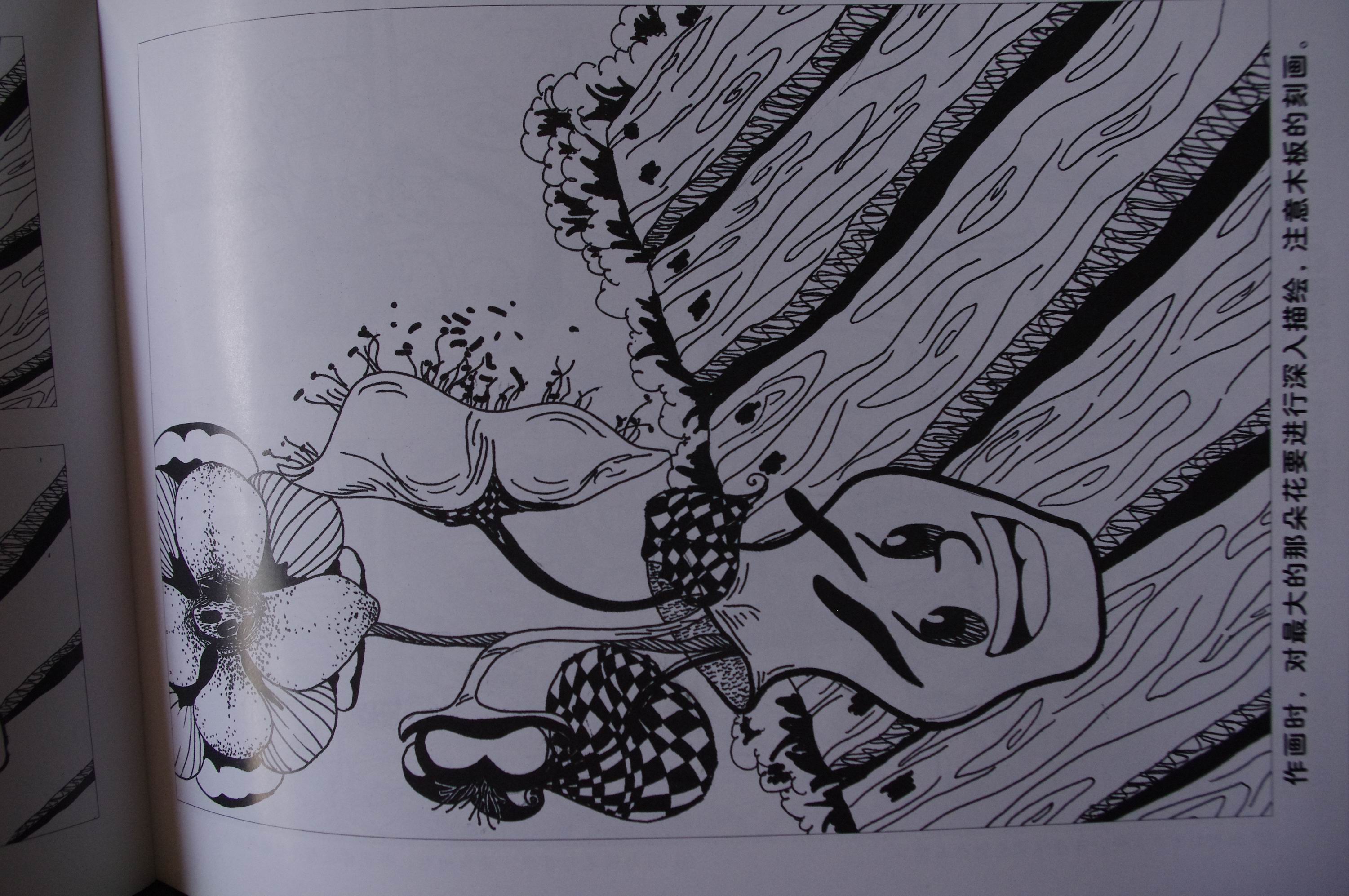 兒童線描畫起步叢書：線描技法教程（5）（靜物篇） 曬單實(shí)拍圖