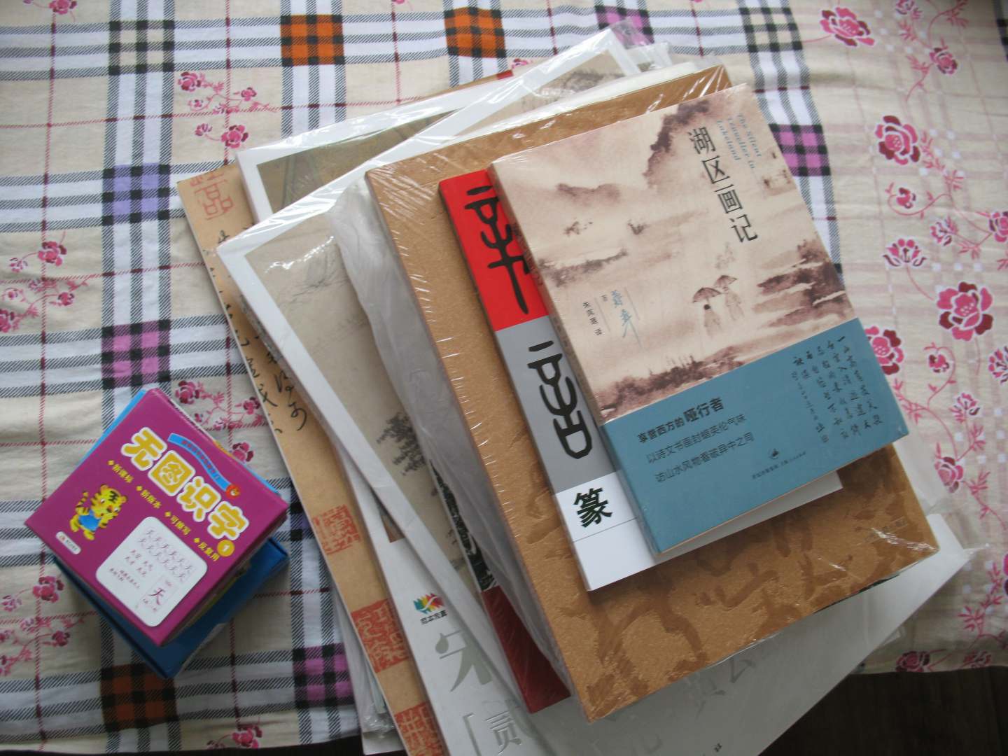 智之虎寶寶早教悅讀卡：無(wú)圖識字3 曬單實(shí)拍圖