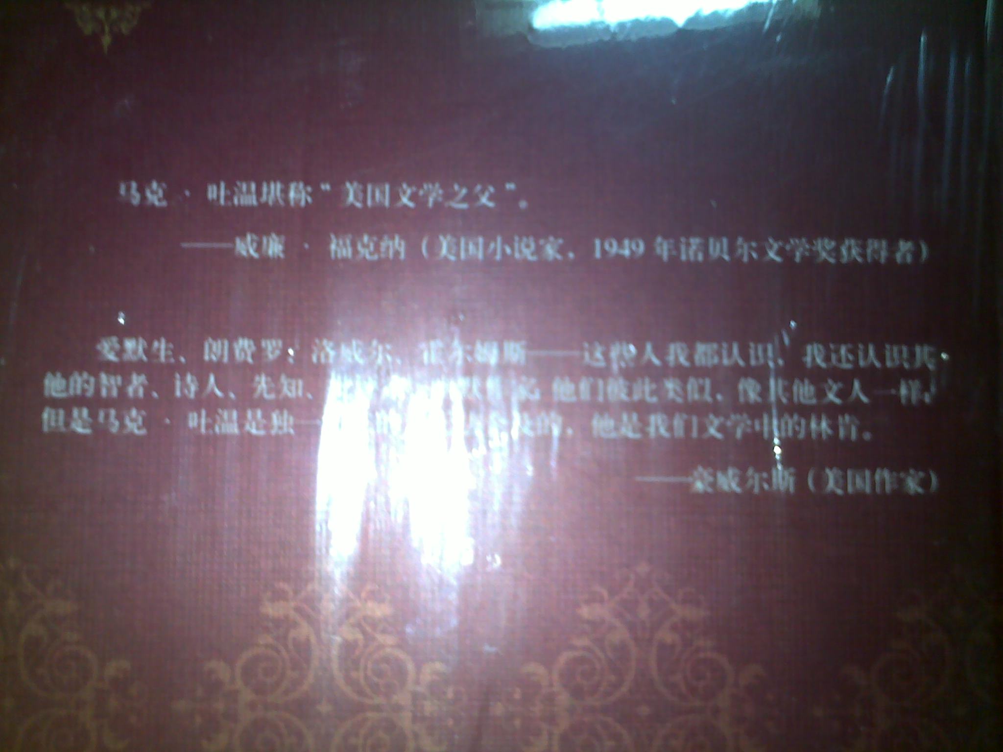 外國文學(xué)經(jīng)典：馬克·吐溫短篇小說選（插圖本） 曬單實(shí)拍圖
