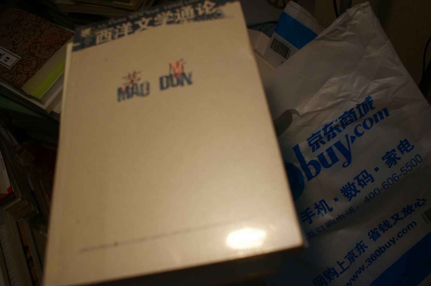 西洋文學(xué)通論 曬單實(shí)拍圖