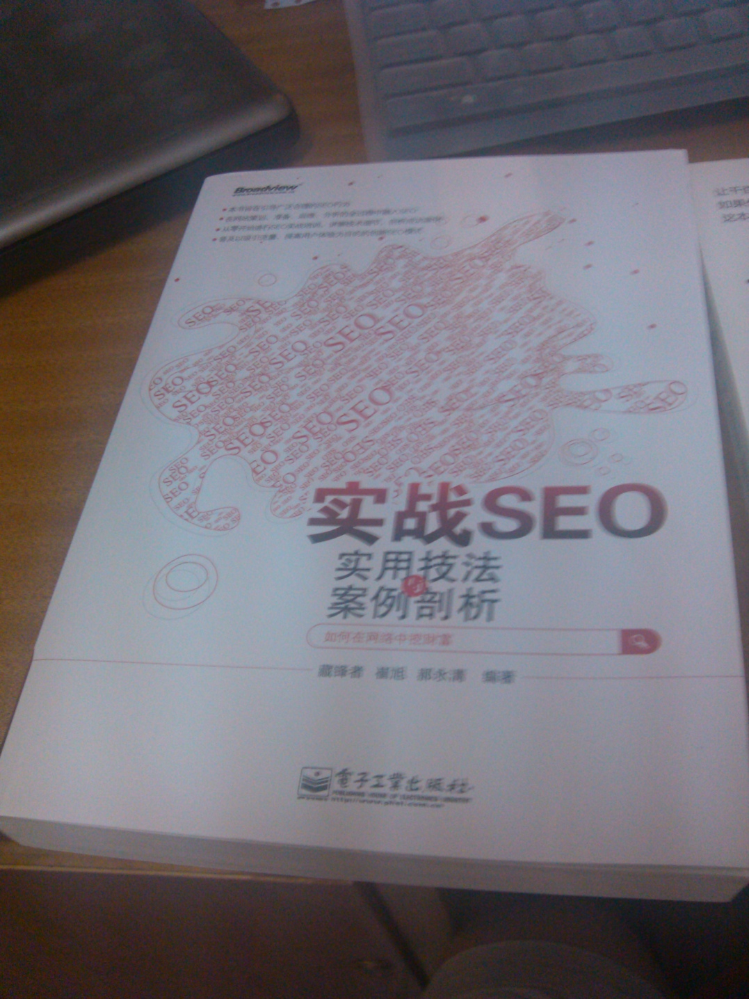 實戰(zhàn)SEO：實用技法與案例剖析(博文視點出品) 曬單實拍圖