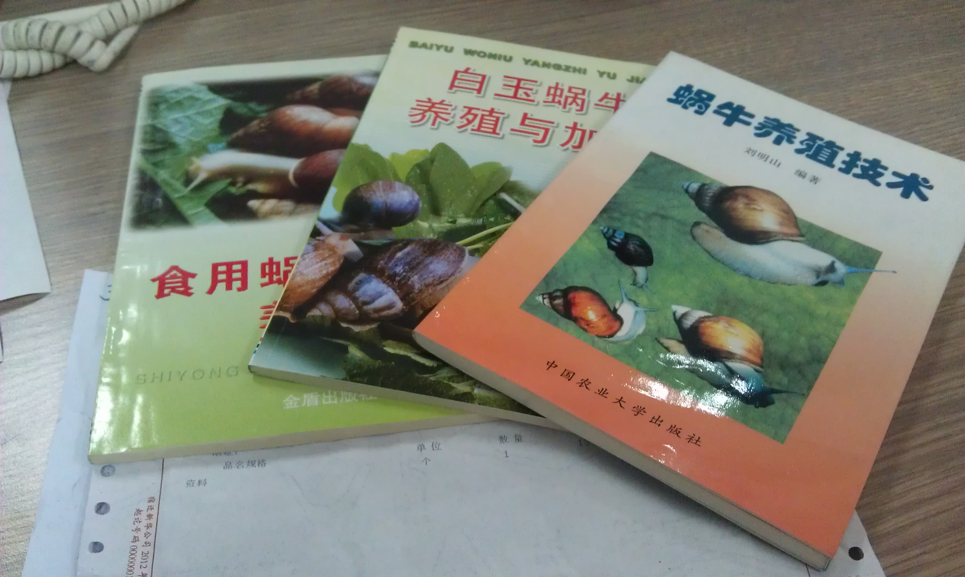 蝸牛養(yǎng)殖技術(shù) 曬單實(shí)拍圖