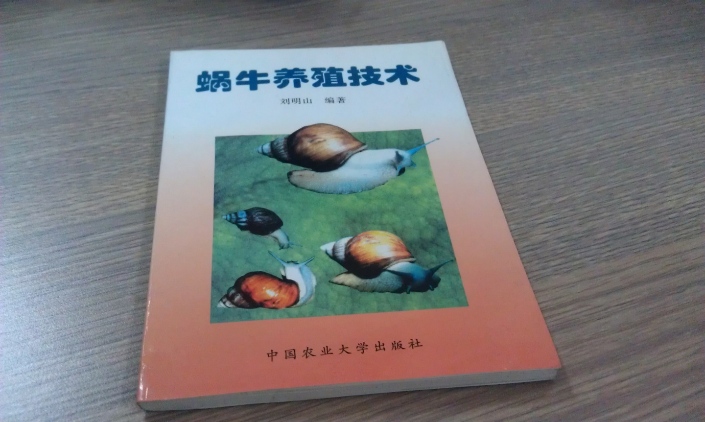蝸牛養(yǎng)殖技術(shù) 曬單實(shí)拍圖