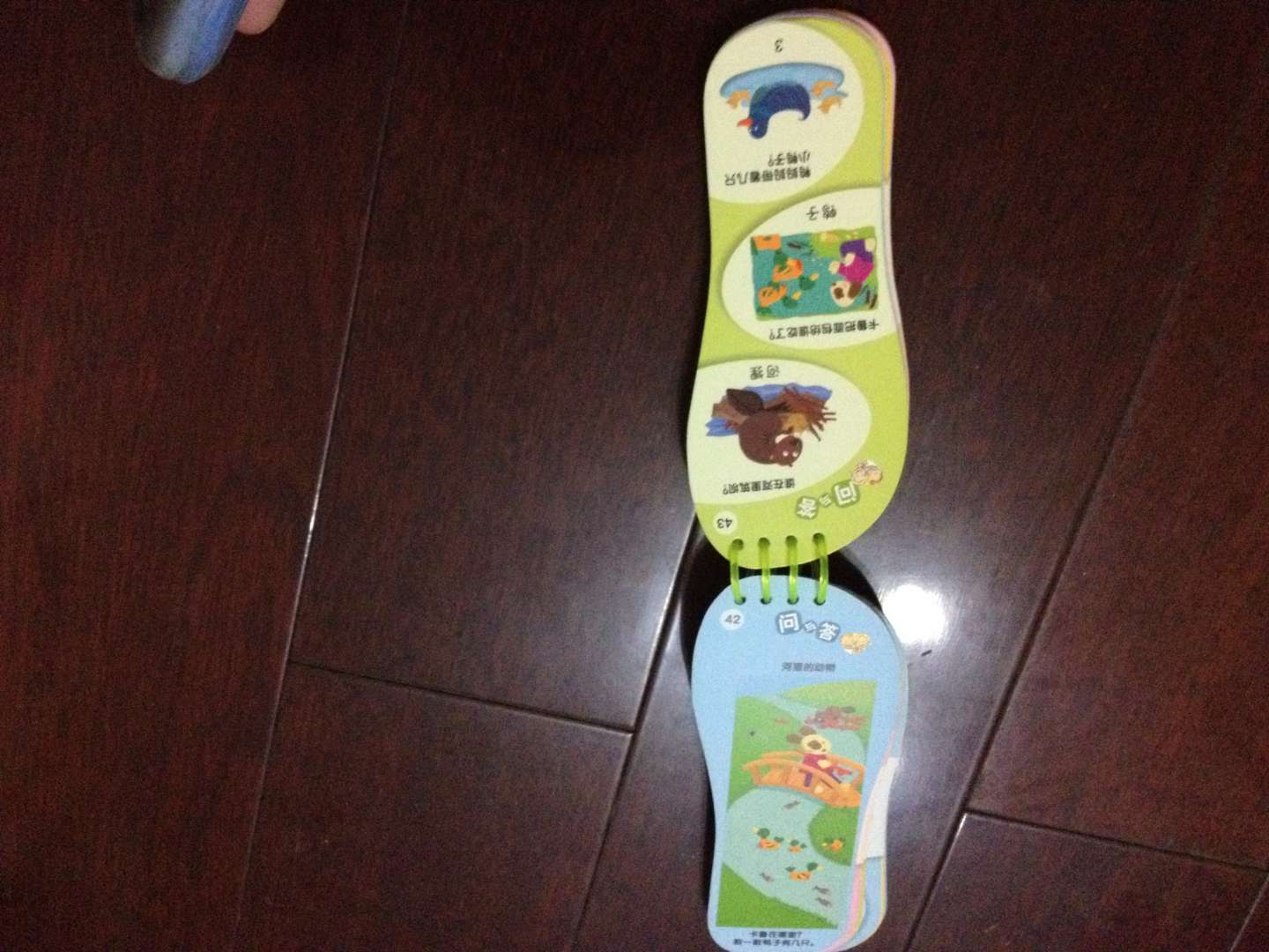 小小問不倒：媽媽你問我（小百科版·2-3歲A卷） 曬單實拍圖