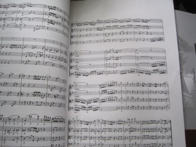 莫扎特十首弦樂(lè )四重奏（上冊） 曬單實(shí)拍圖