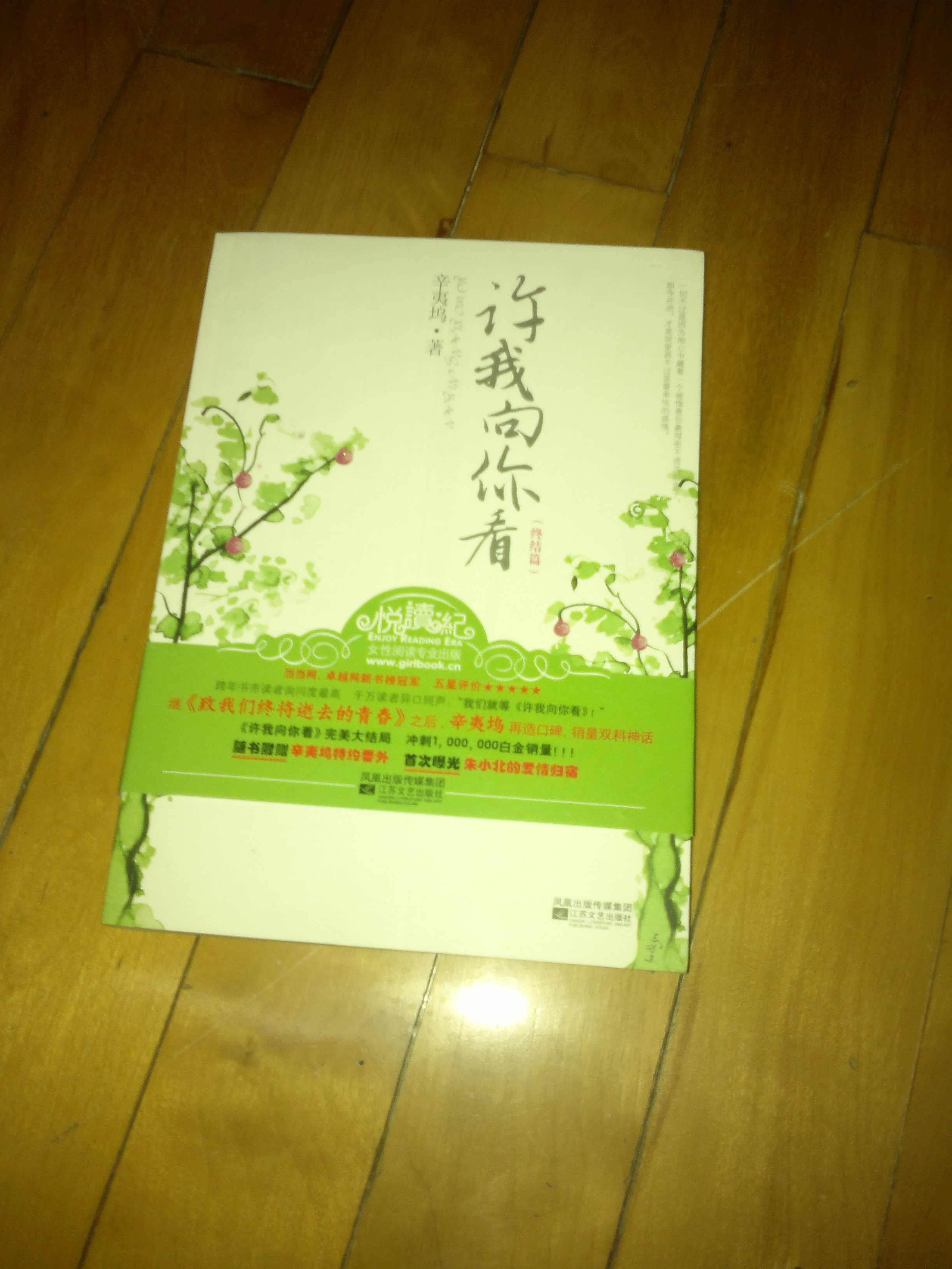 許我向你看（終結(jié)版） 曬單實(shí)拍圖