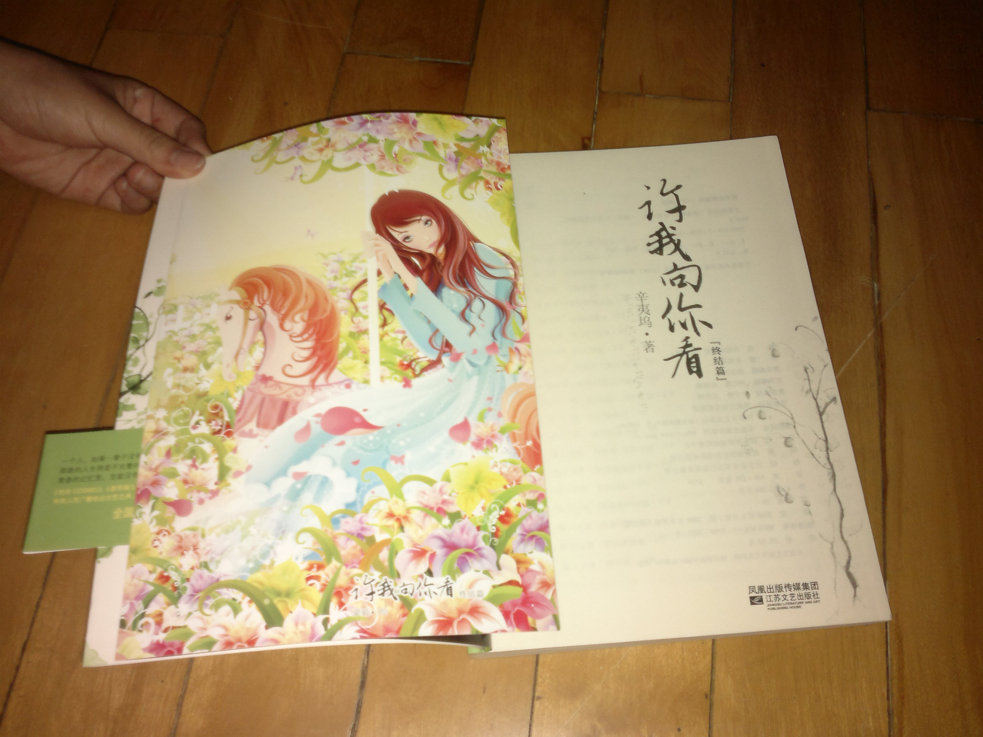許我向你看（終結(jié)版） 曬單實(shí)拍圖