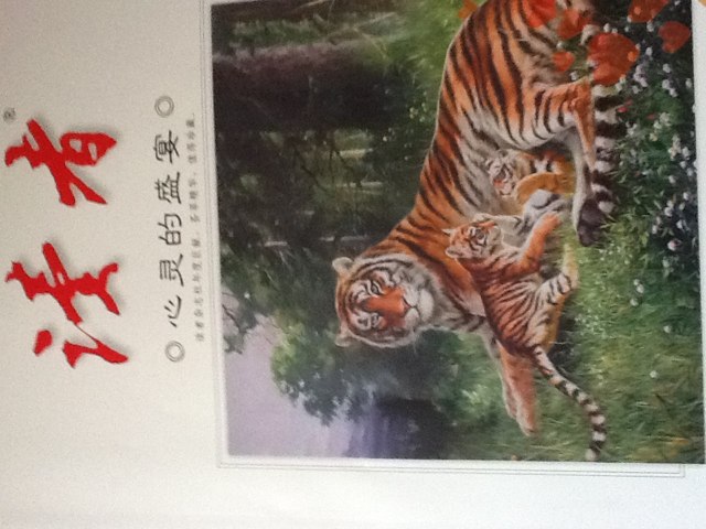 心靈的盛宴（2010年）讀者增刊 曬單實(shí)拍圖