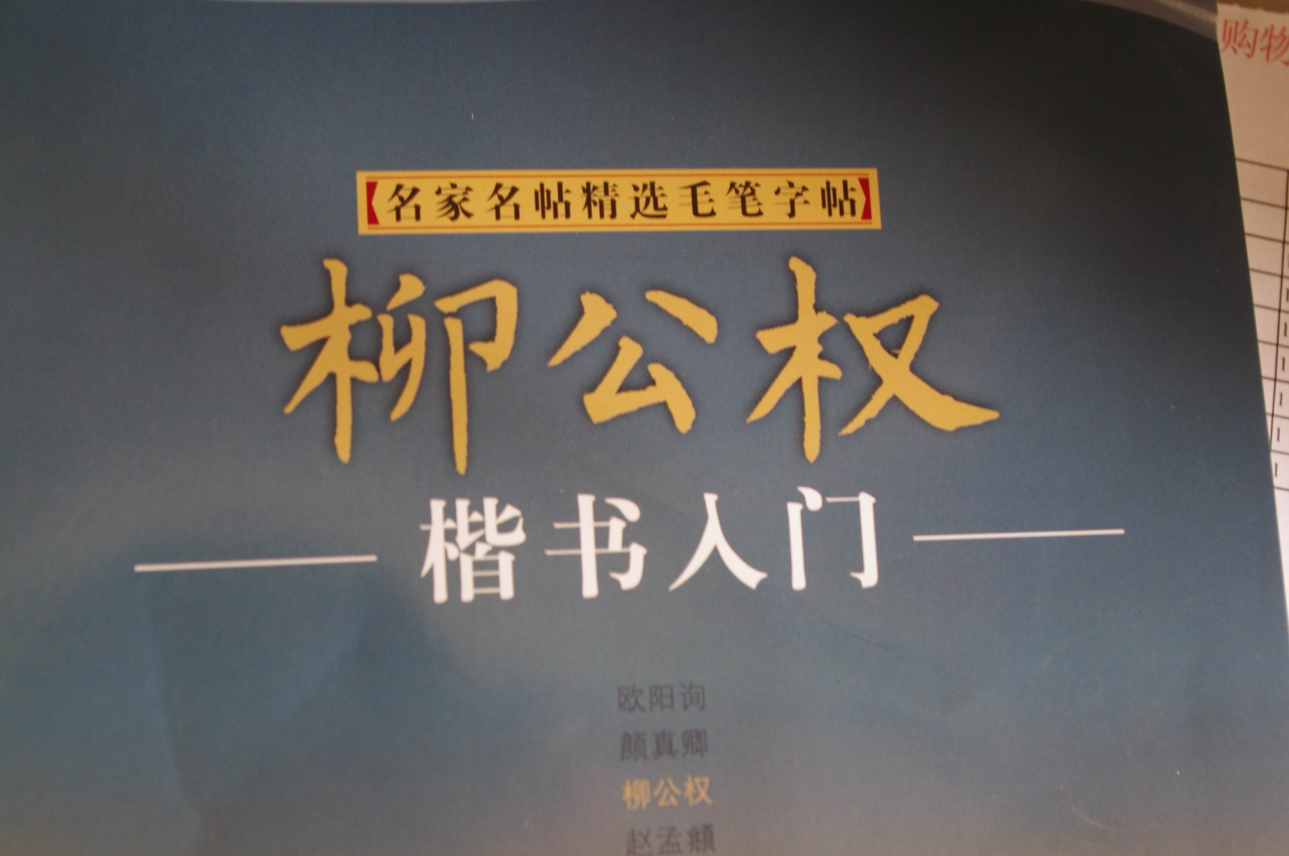辭海版 小學(xué)生字典（雙色本） 曬單實(shí)拍圖