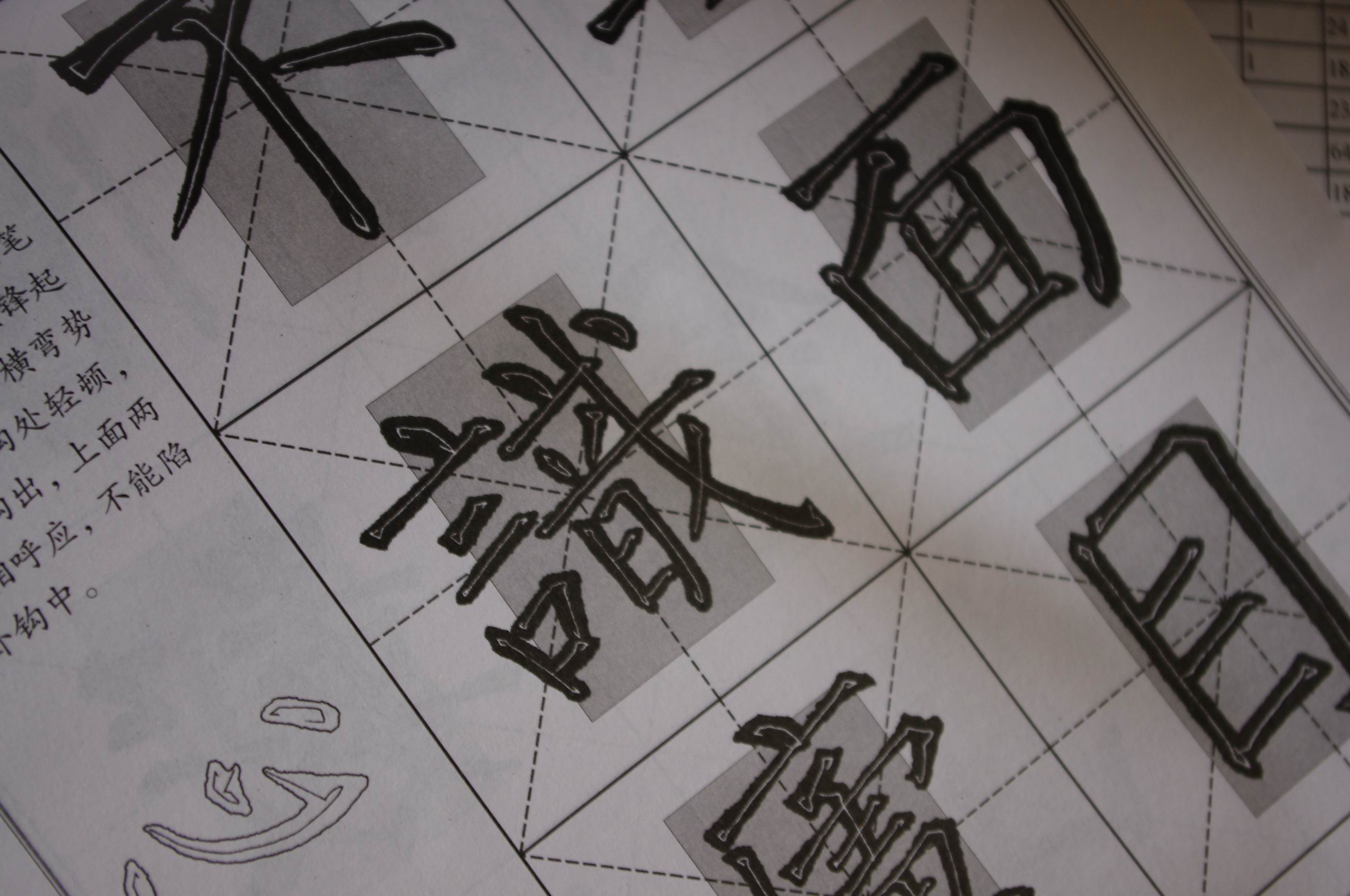 辭海版 小學(xué)生字典（雙色本） 曬單實(shí)拍圖