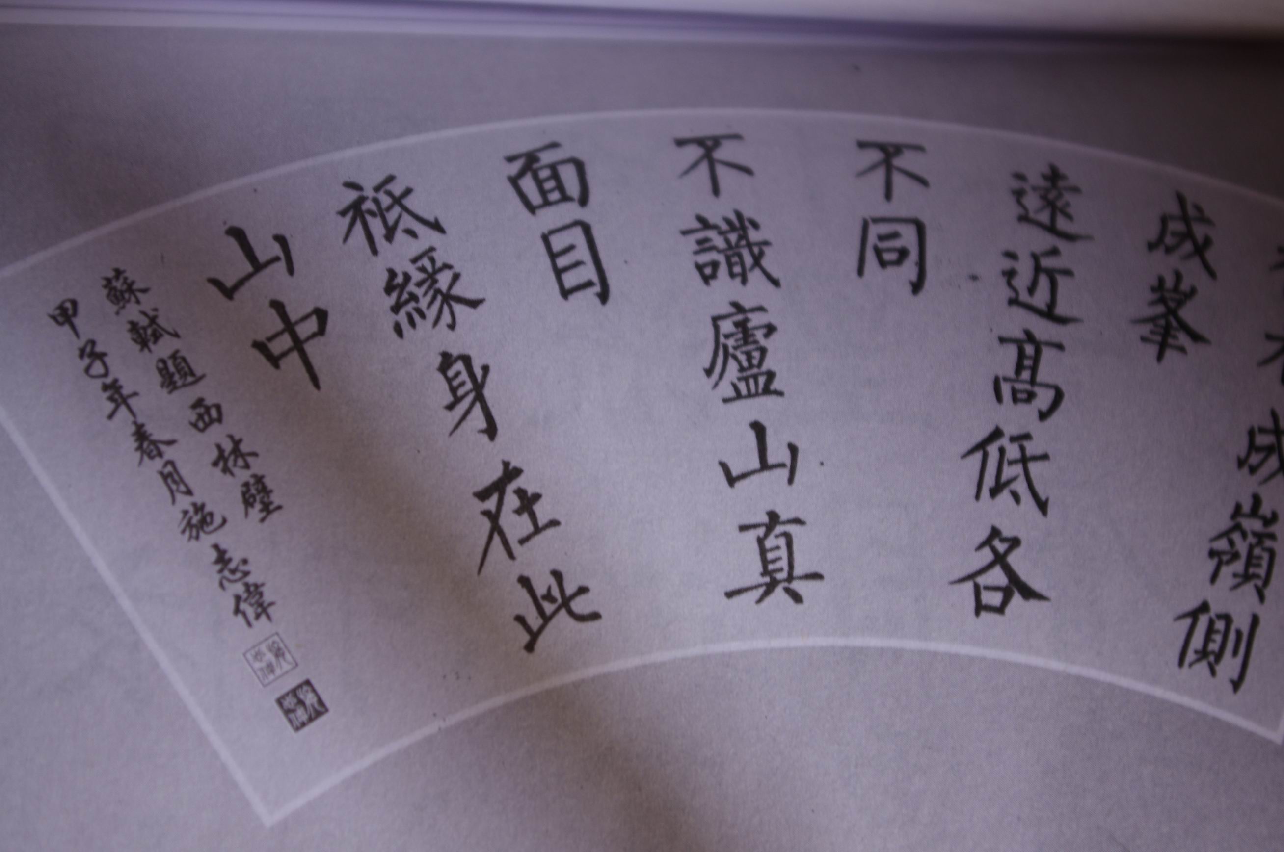 辭海版 小學(xué)生字典（雙色本） 曬單實(shí)拍圖