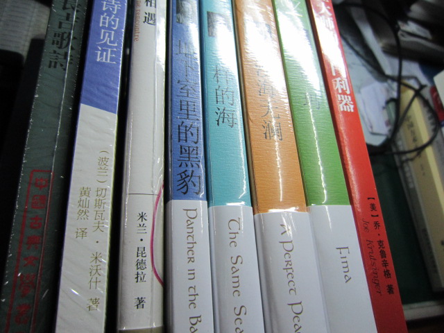 詩(shī)的見(jiàn)證 曬單實(shí)拍圖