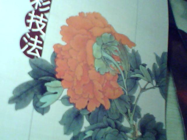 工筆山水技法全解 曬單實(shí)拍圖