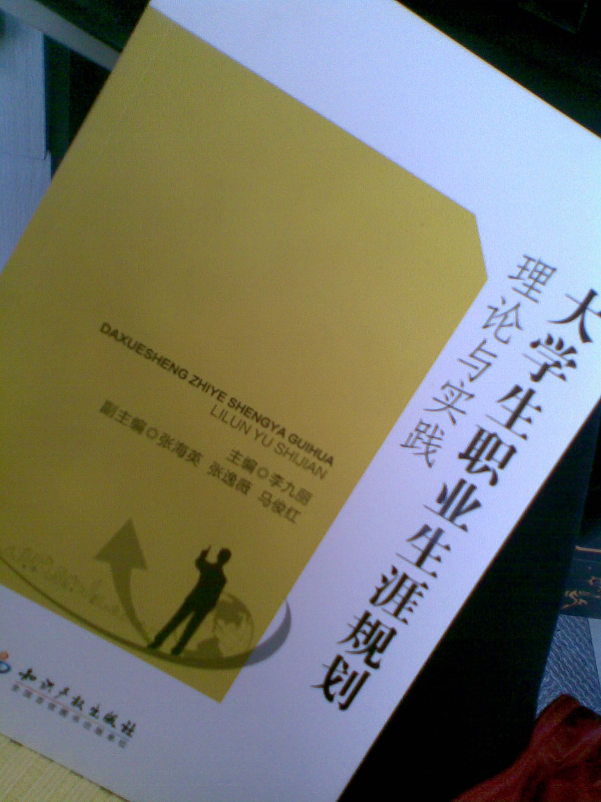 大學(xué)生職業(yè)生涯規(guī)劃理論與實踐 曬單實拍圖